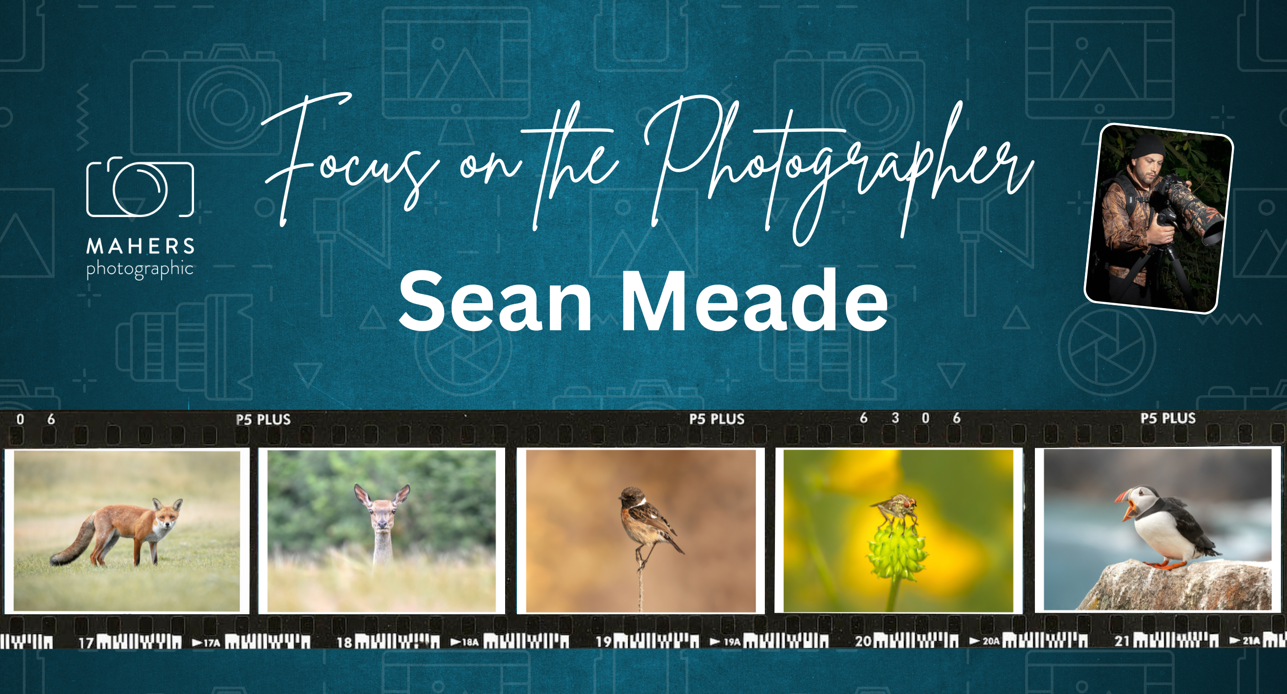 Focus on the Photographer - Sean Meade