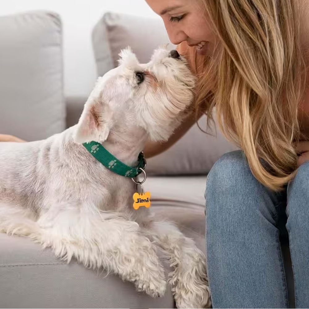 Pet Tag