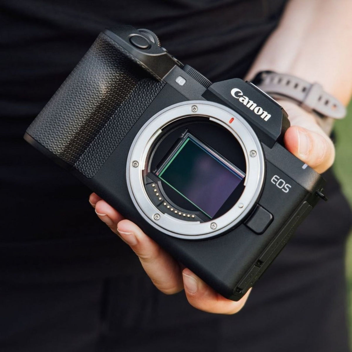 Canon EOS R8 Mark II Camera