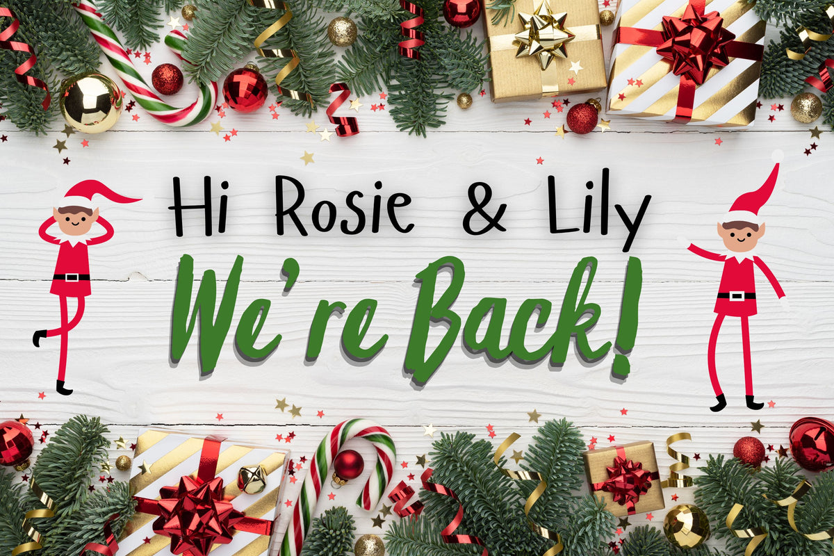 Personalised Christmas Elf Arrival Poster