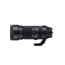 Sigma 100-400mm F5-6.3 DG DN OS SE