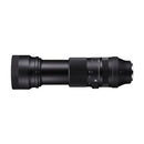 Sigma 100-400mm F5-6.3 DG DN OS SE
