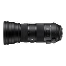 Sigma 150-600mm F5-6.3 DG OS HSM SPORT Lens