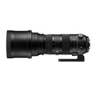 Sigma 150-600mm F5-6.3 DG OS HSM SPORT Lens