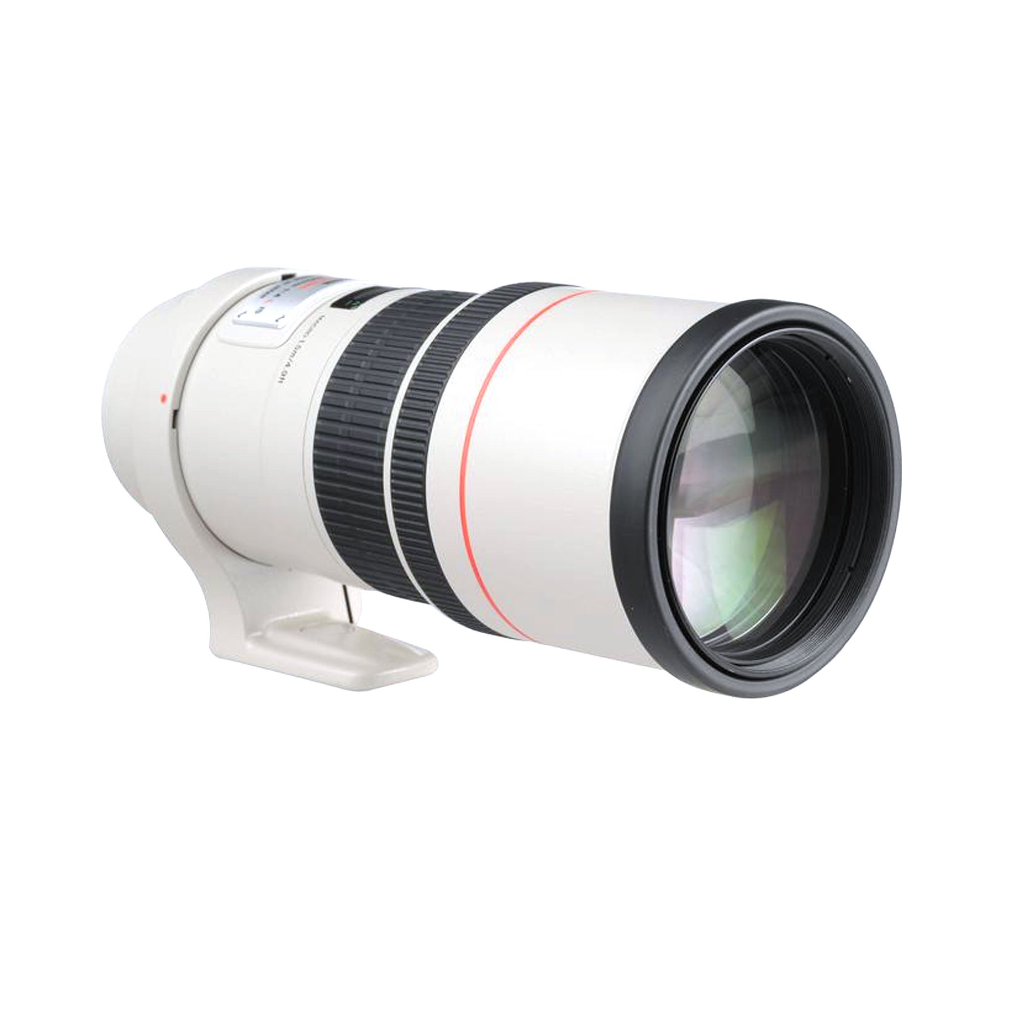 Canon EF 300mm F4L IS USM Lens