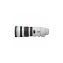 Canon EF 200-400mm F4L IS USM Lens
